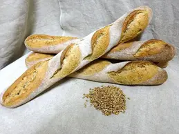 baguettes_bd.webp